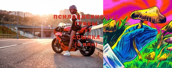 стафф Краснотурьинск