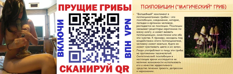 как найти наркотики  Моздок  Галлюциногенные грибы мицелий 