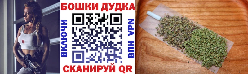 Каннабис OG Kush  Моздок 